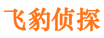 云县外遇出轨调查取证